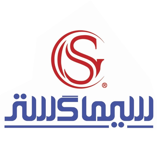لوگوی - مدرن-و-حرفهای-شرکت-فناوری-سیماگستر